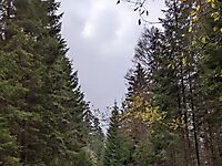 Хребет Пішконя_32